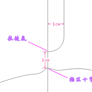 女裤